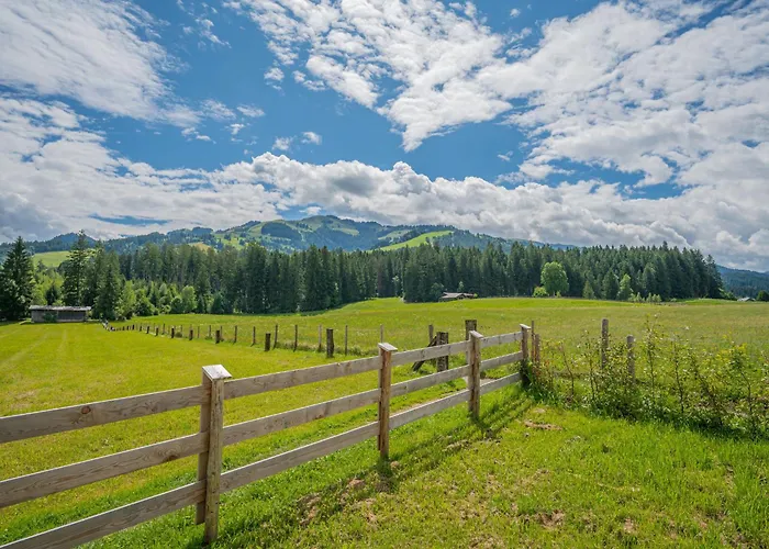 Erwin-3 By Interhome Kirchberg en Tyrol