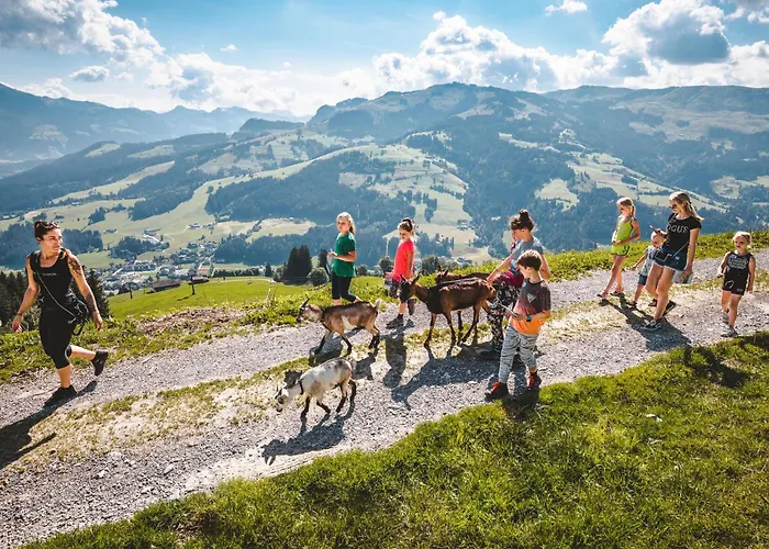 Erwin-3 By Interhome Appartement *