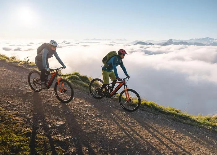 Erwin-3 By Interhome