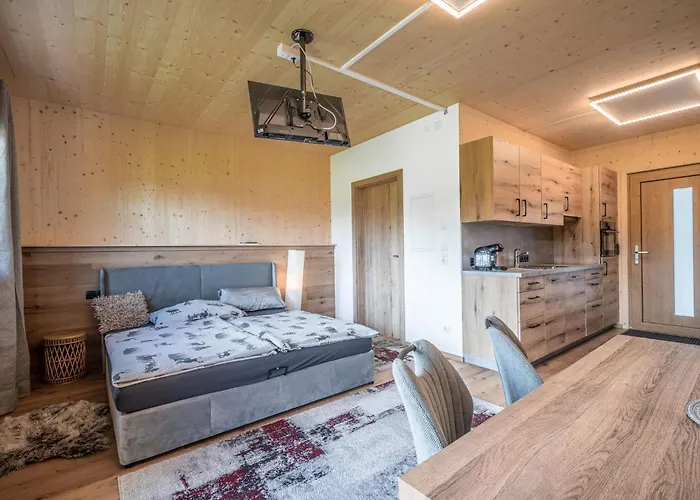 Erwin-3 By Interhome