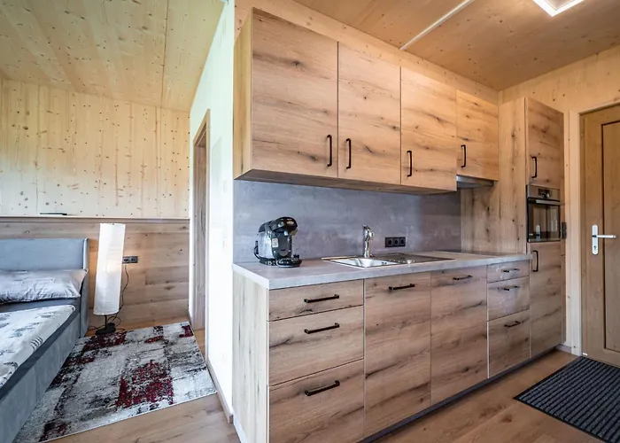 Erwin-3 By Interhome * Kirchberg in Tirol