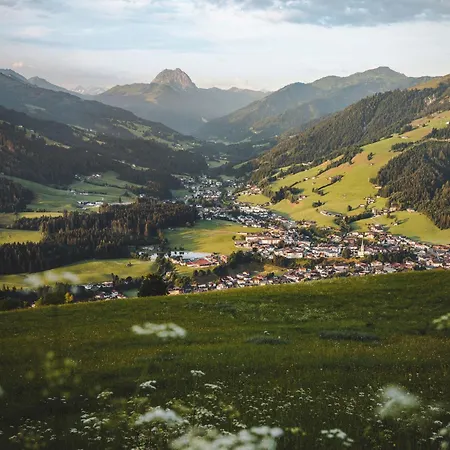 Erwin-3 By Interhome Apartment Kirchberg in Tirol